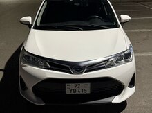 Toyota Corolla, 2019 il