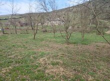 90 sot torpaq sahəsi, Quba r.