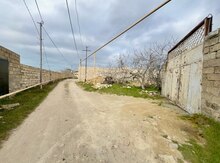 3 sot torpaq sahəsi, Ləhiş bağları 