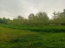50 sot torpaq sahəsi, İsmayıllı r.