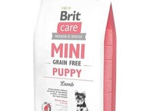 İtlər üçün quru yem "Brit Care"