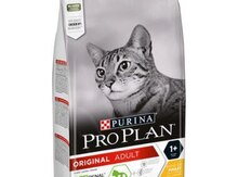 "ProPlan" pişik yemi