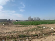 24 sot torpaq sahəsi, Samux r.