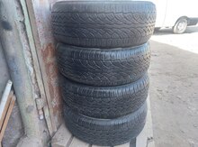 Şinlər