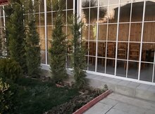 Bağ evi kirayə verilir, Novxanı qəs.