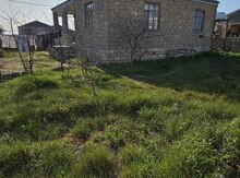 Həyət evi, Binə qəs.