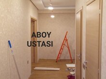 Rəngsaz işləri