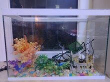 Akvarium 