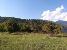 10 sot torpaq sahəsi, Zaqatala r.