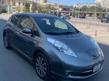 Nissan Leaf, 2013 il