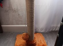 Dırnaq itiləyən