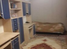 Həyət evi kirayə verilir, Gəncə ş. 