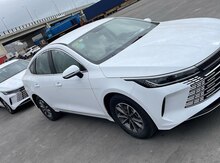 "BYD" icarəsi