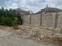 25 sot torpaq sahəsi, Ləhiş bağları