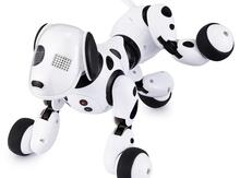 Robot it "Dimei"