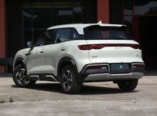 BYD Yuan Up, 2024 il
