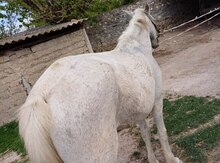 At