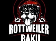 Rotveyler
