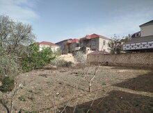 5 sot torpaq sahəsi, Hökməli qəs.