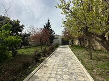 Həyət evi, 8 Noyabr pr.