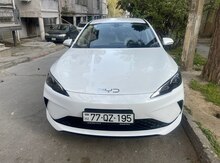 "BYD Qinplas 2024" icarəsi
