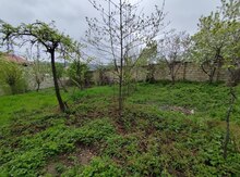 7.5 sot torpaq sahəsi, Qusar r.