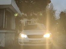 Nissan Sunny, 2008 il
