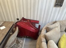 "Tesla" arxa qanadı
