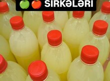Alma sirkəsi 