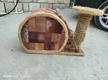 Pişik yuvası