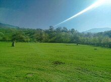 10 sot torpaq sahəsi, Quba r.
