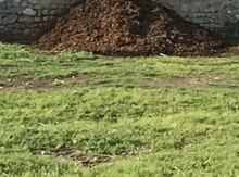 Gübrə