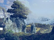 Professional, Websiteların və dizaynların hazırlanması