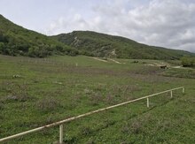 12 sot torpaq sahəsi, Qonaqkənd k.