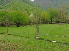 66 sot torpaq sahəsi, Qəbələ r.
