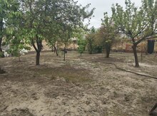 3 sot torpaq sahəsi, Şəki ş.
