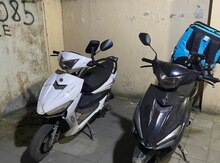 Moped icarəsi