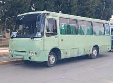 Isuzu, 2008 il