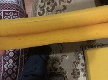 Süngər