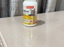 Pişik vitamini