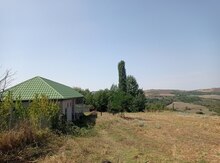 300 sot torpaq sahəsi, Şamaxı ş.