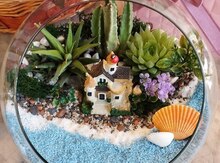 Terarium (canlı bitkilər)