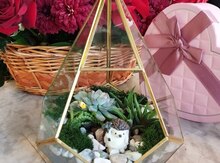 Terrarium