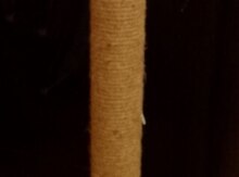 Dırnaq itiləyən