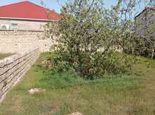 2 sot torpaq sahəsi, Buzovna qəs.
