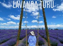 Lavanda turu