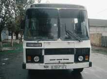 PAZ., 1999 il
