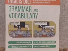 Grammer and Vocabulary 