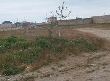 3 sot torpaq sahəsi, Buzovna qəs.