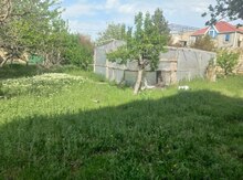 5 sot torpaq sahəsi, Novxanı qəs.